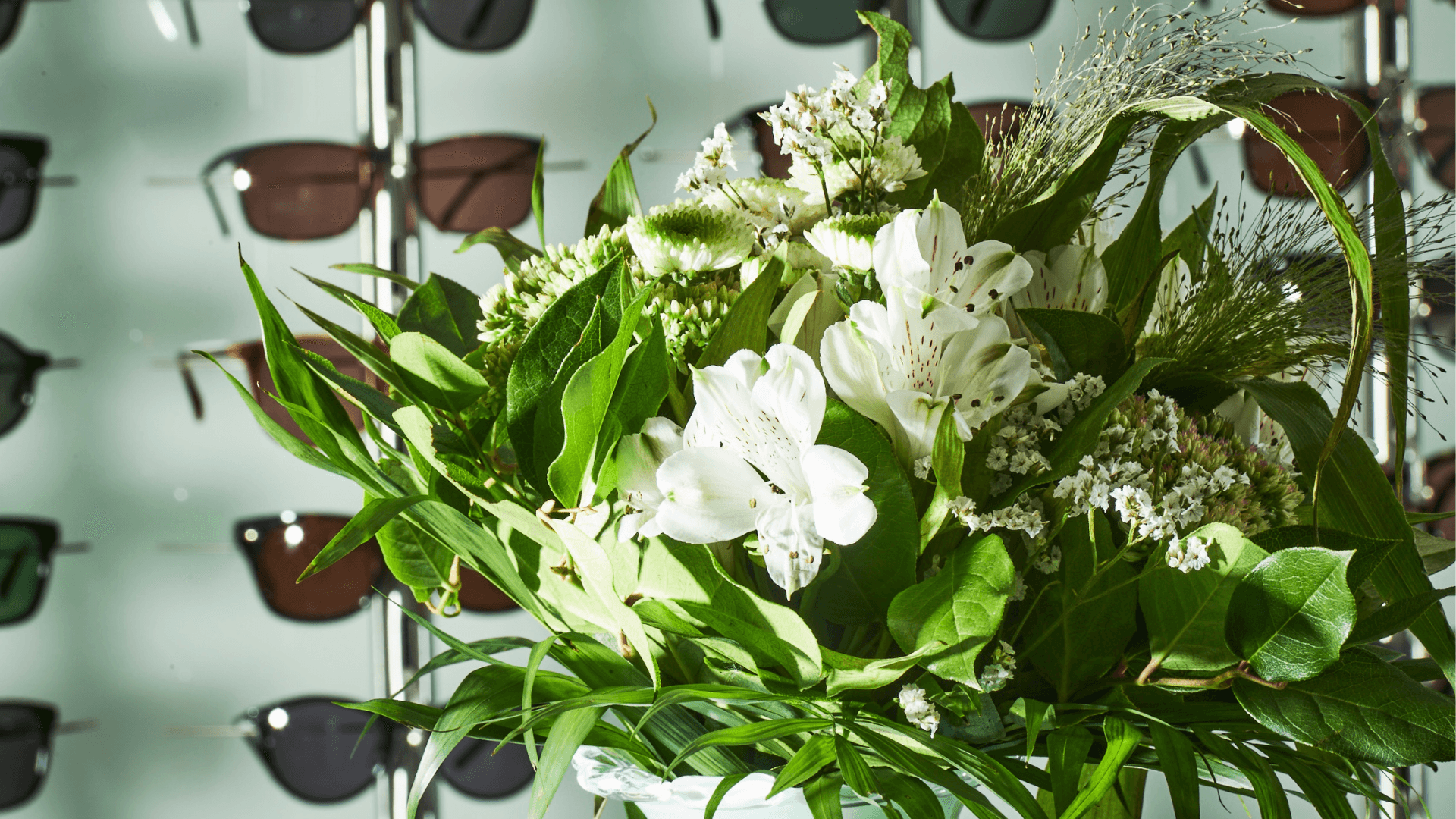 Råd og vejledning Stjerneoptik Råd og vejledning Stjerneoptik